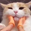 Simulation little hands funny mini hands toys