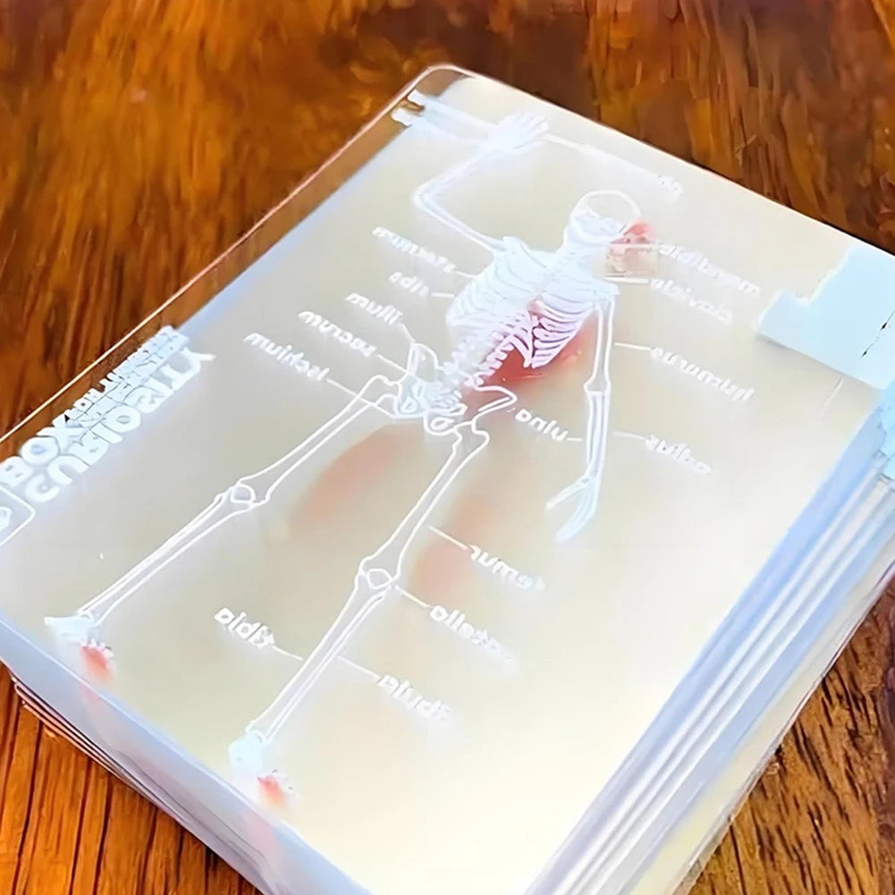 1-3PCS Human Anatomy Poker Cards
