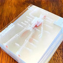 1-3PCS Human Anatomy Poker Cards