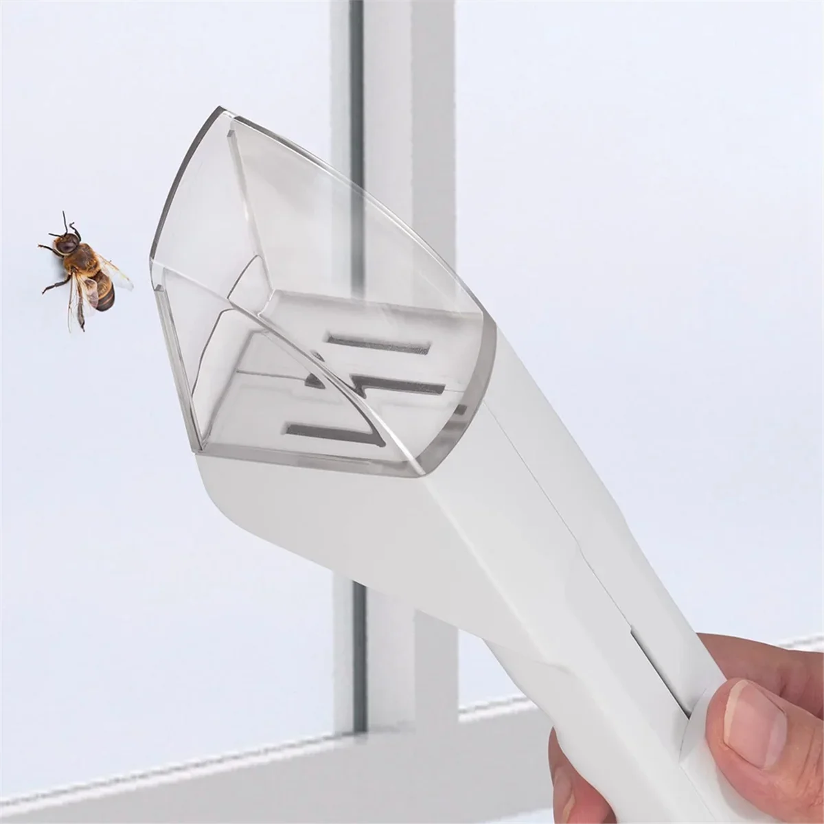 Handheld Insect Catcher