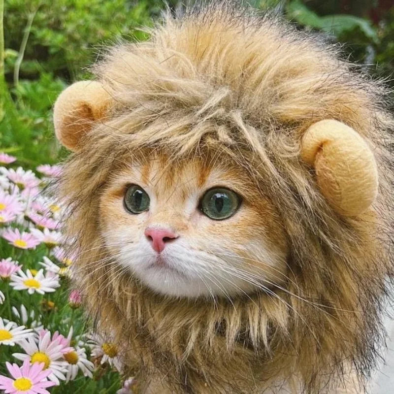 Cute Lion Mane Cat Wig