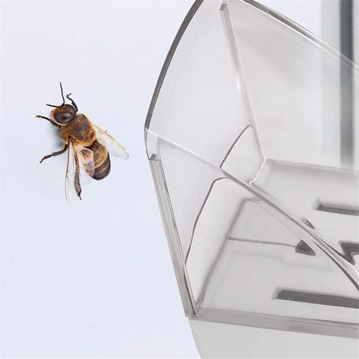 Handheld Insect Catcher