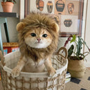 Cute Lion Mane Cat Wig