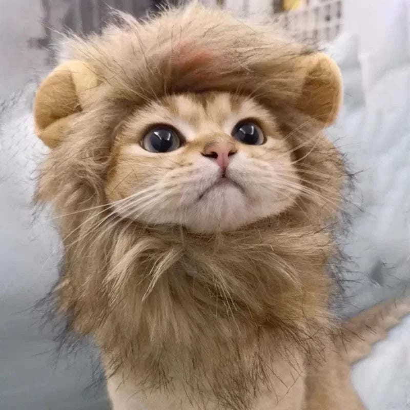 Cute Lion Mane Cat Wig