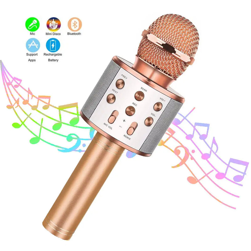 Karaoke Mic Speaker With Adjustable Remix FM Radio for Kids