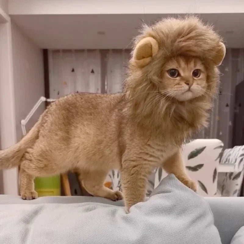 Cute Lion Mane Cat Wig