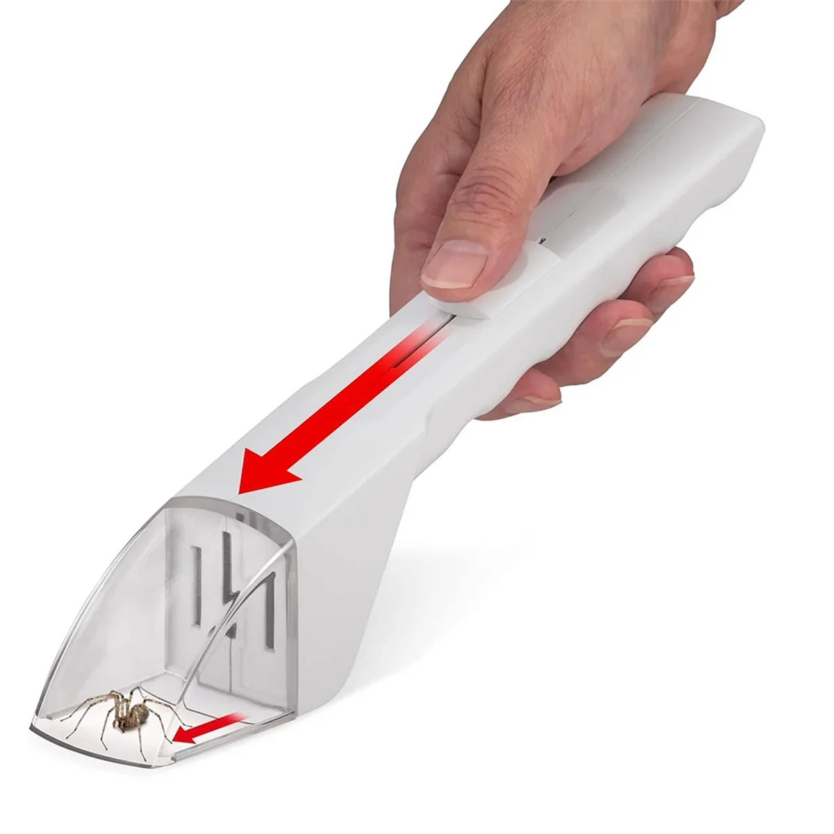 Handheld Insect Catcher