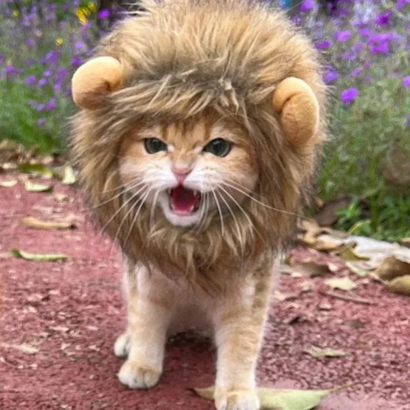 Cute Lion Mane Cat Wig