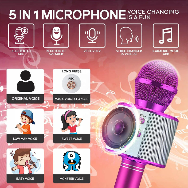 Karaoke Mic Speaker With Adjustable Remix FM Radio for Kids